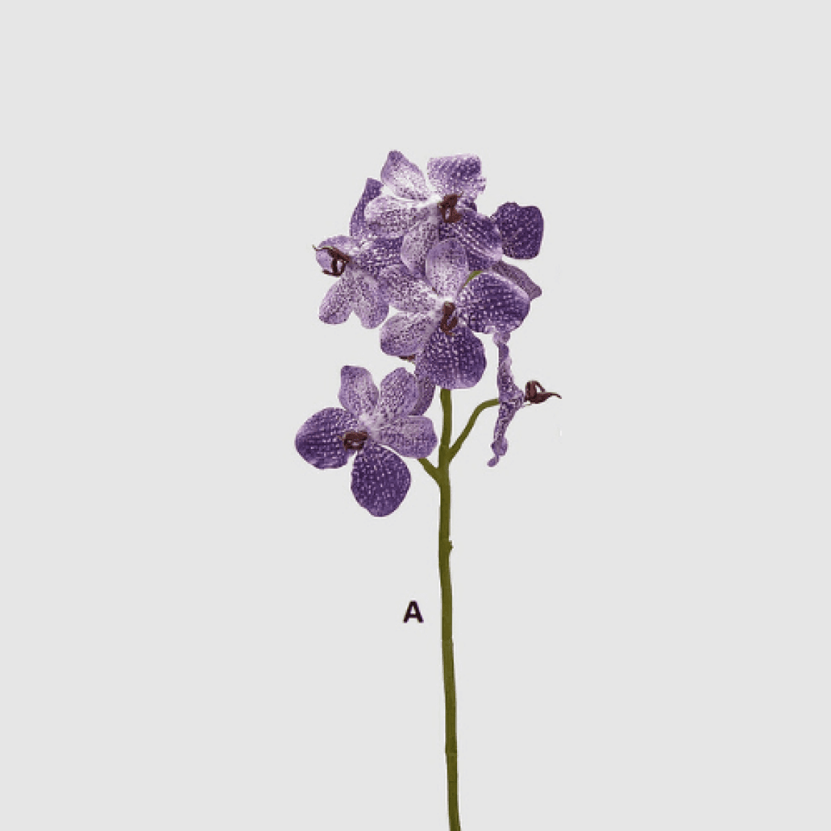 Immagine del prodotto Ramo Orchidea Vanda artificiale h 70 cm- 3 Colori | EDG Enzo De Gasperi