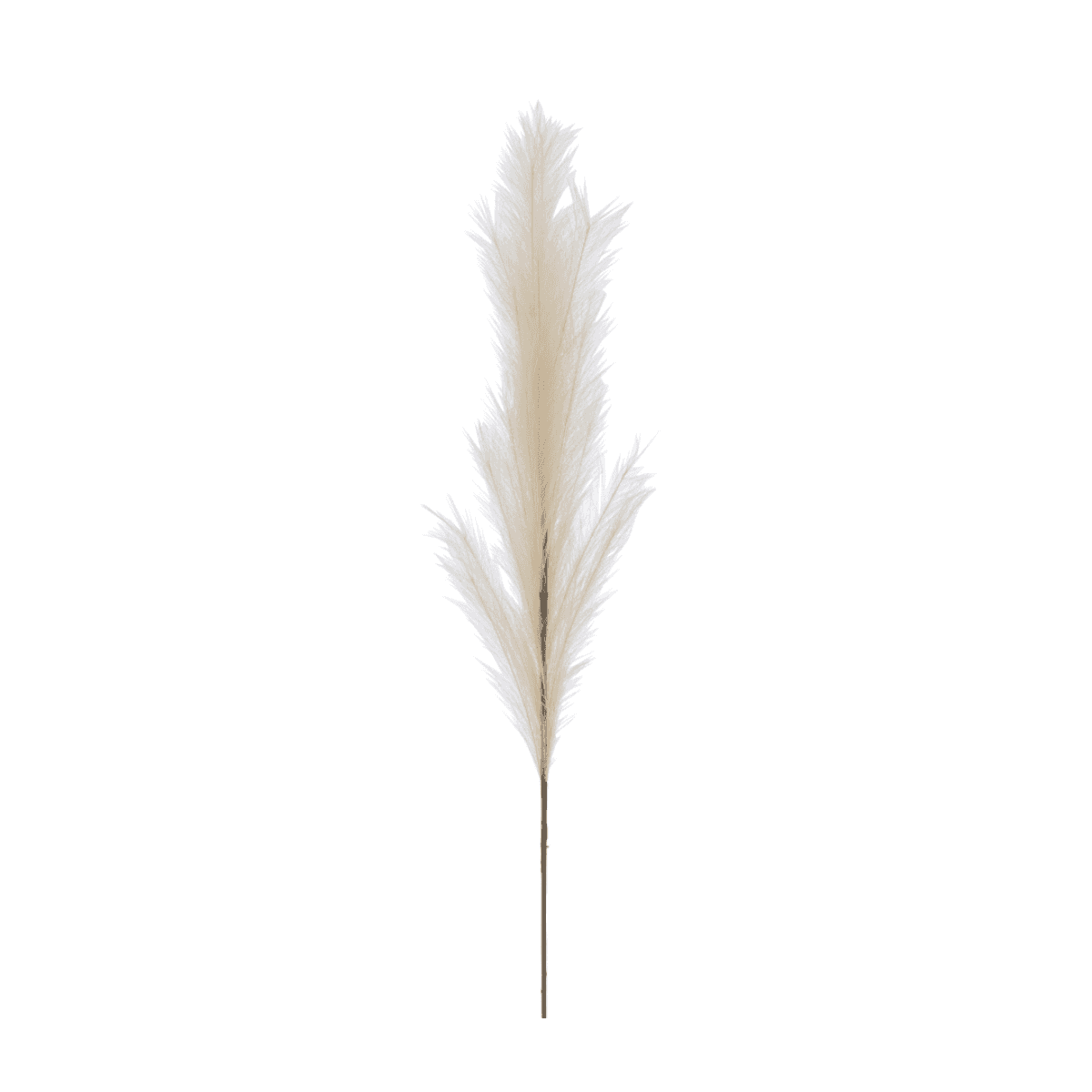Immagine del prodotto Ramo Piume Beige 20x6x160 cm | Jolipa