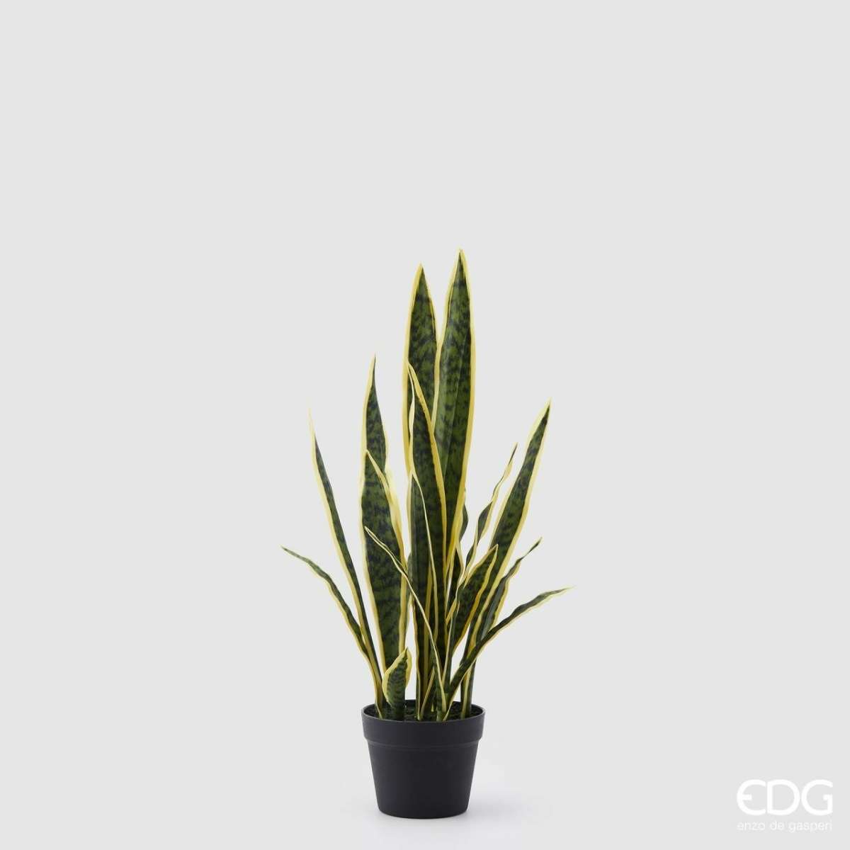 Immagine del prodotto Sanseveria Piccola West Artificiale con Vaso h 70 cm | EDG Enzo De Gasperi