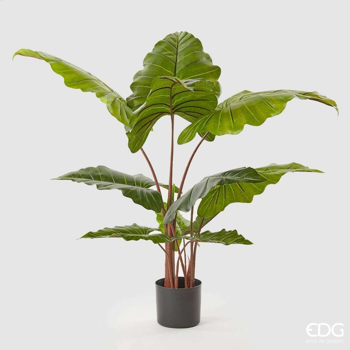 Immagine del prodotto Alocasia Chic Artificiale con vaso h 120 cm | EDG Enzo De Gasperi