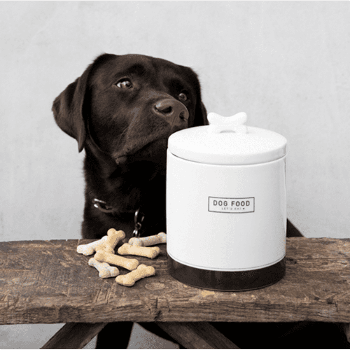 Immagine del prodotto Barattolo in Ceramica Dog food con Tappo Ermetico Cibo per Cani | Bastion Collections