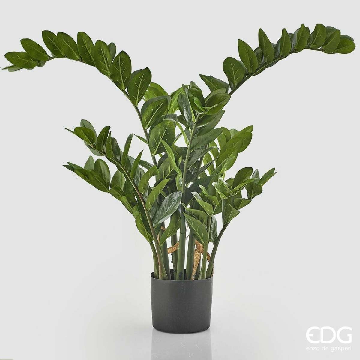 Immagine del prodotto Zamifolia Artificiale con Vaso - 3 Misure | EDG Enzo De Gasperi