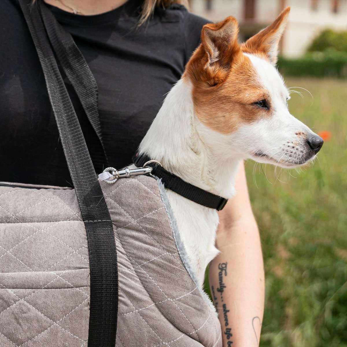 Immagine del prodotto Borsa da Spalla Grande per Cane | Pietro Zanetti Home