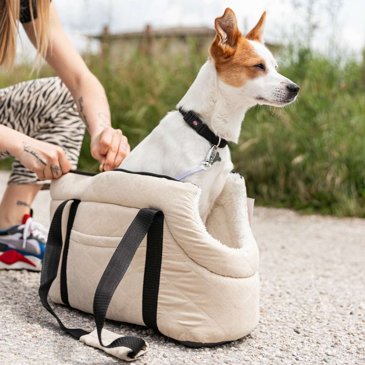 Immagine del prodotto Borsa da Spalla Piccola per Cane | Pietro Zanetti Home