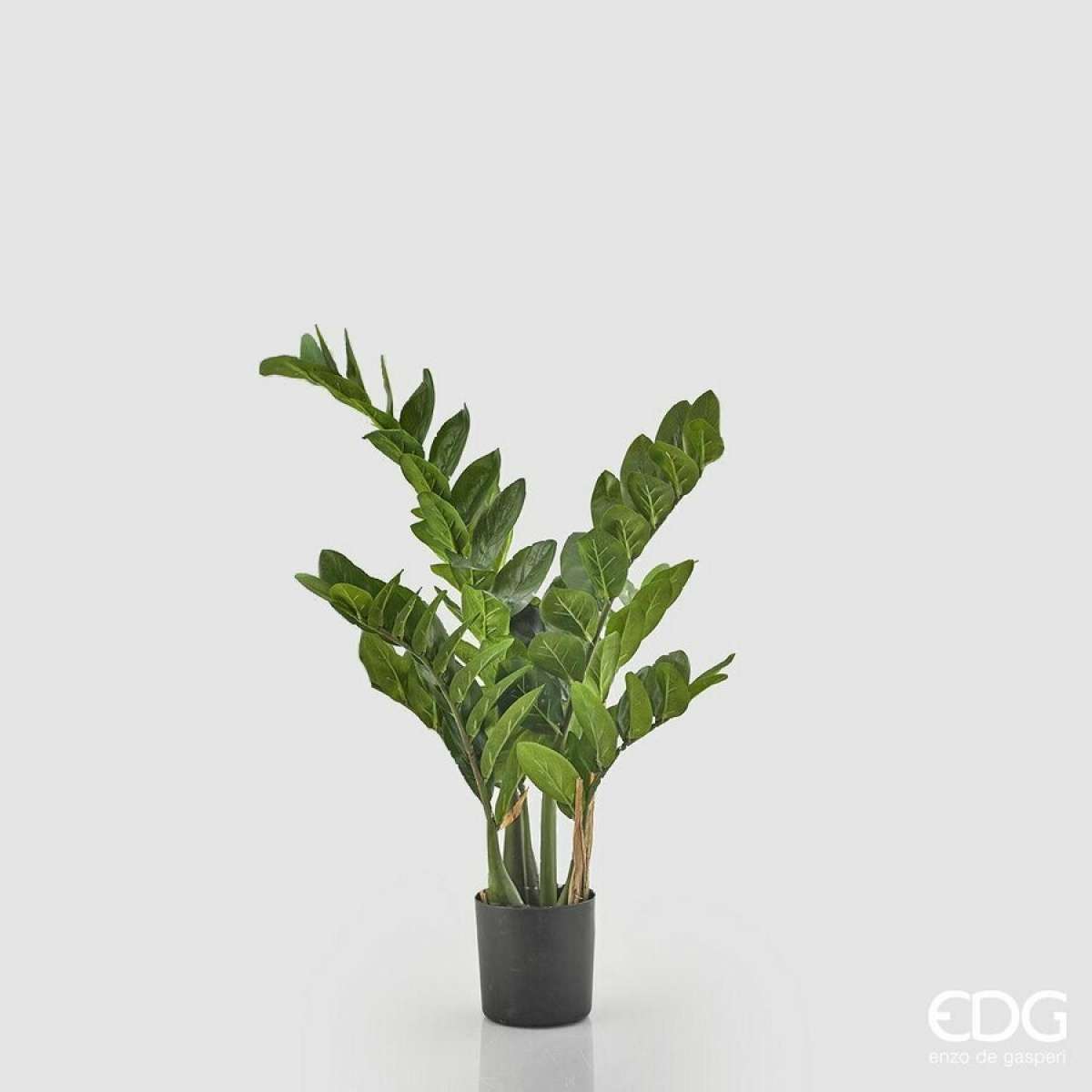 Immagine del prodotto Zamifolia Artificiale con Vaso - 3 Misure | EDG Enzo De Gasperi