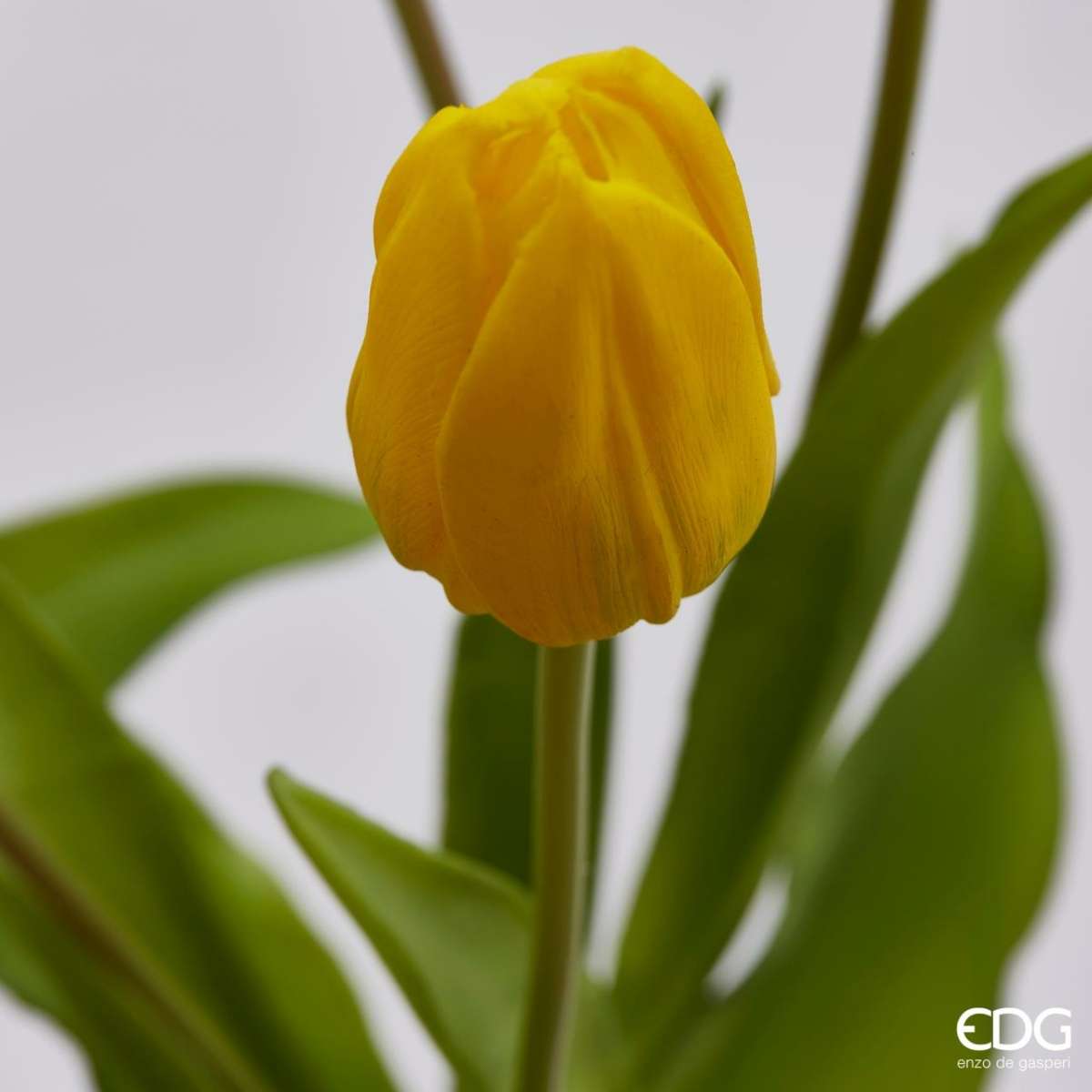 Immagine del prodotto Mazzo Artificiale di Tulipani New h 40 cm  7 Colori | EDG Enzo De Gasperi
