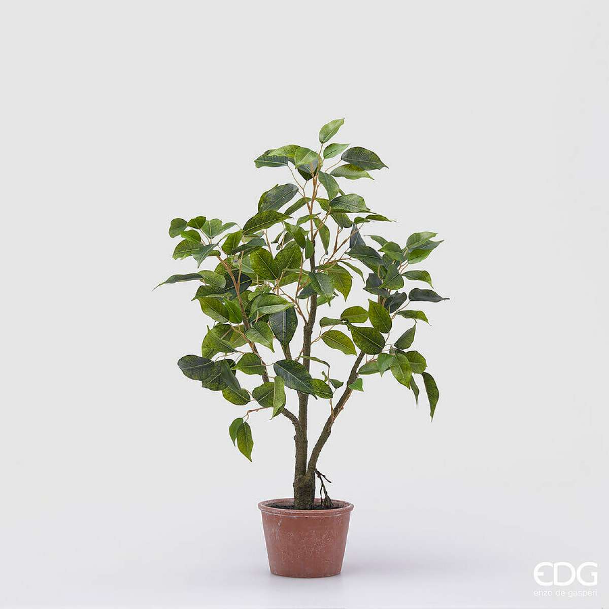 Immagine del prodotto Ficus Artificiale con Vaso - 2 Misure | EDG Enzo De Gasperi