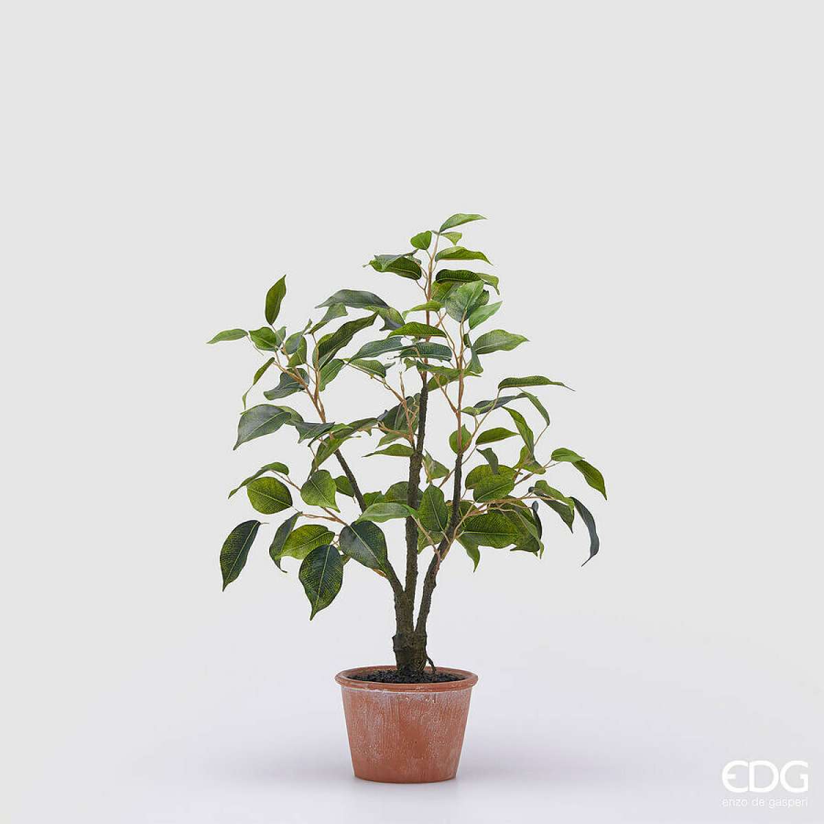 Immagine del prodotto Ficus Artificiale con Vaso - 2 Misure | EDG Enzo De Gasperi