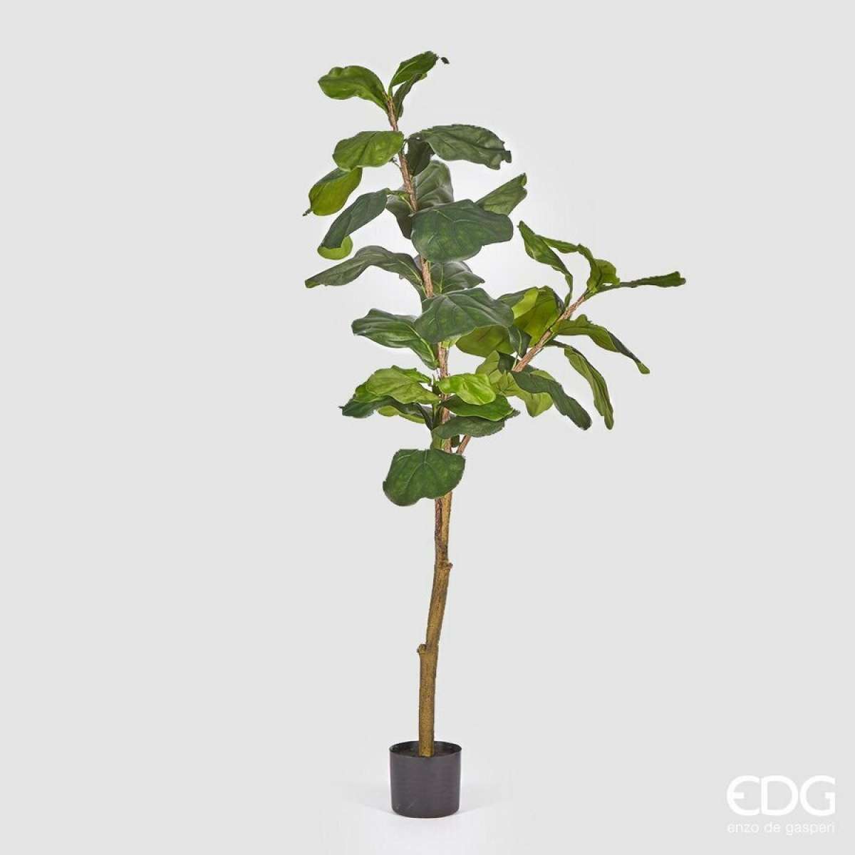 Immagine del prodotto Ficus Lyrata Artificiale con Vaso - 2 Misure | EDG Enzo De Gasperi