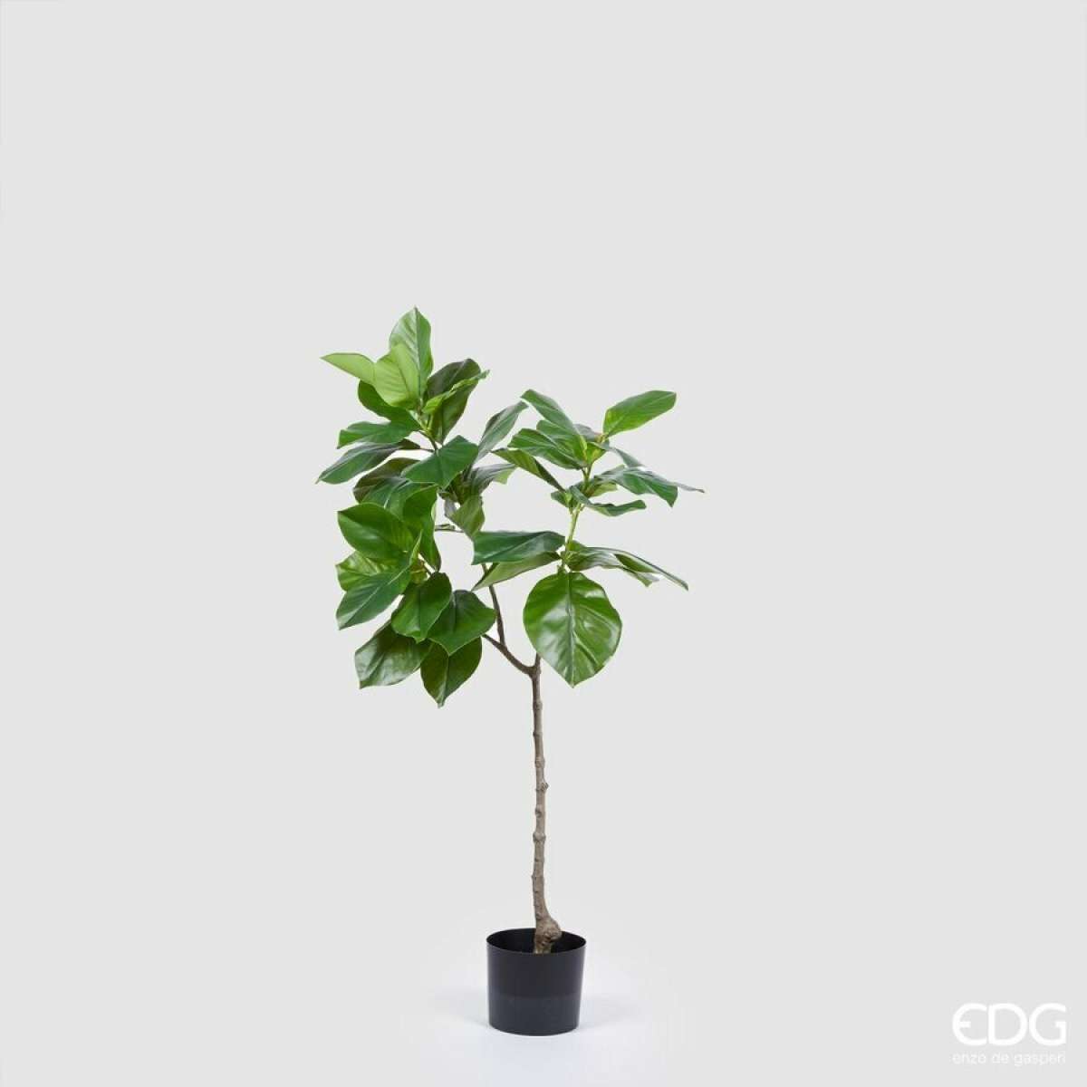 Immagine del prodotto Ficus Chic Artificiale con Vaso h 120 cm | EDG Enzo De Gasperi