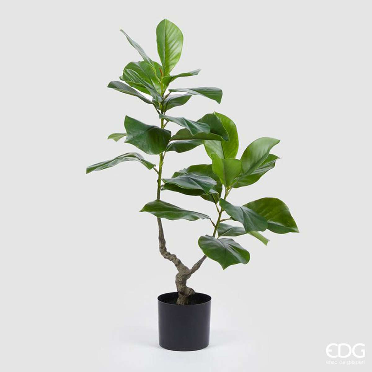 Immagine del prodotto Ficus Chic Artificiale con Vaso h 90 cm | EDG Enzo De Gasperi