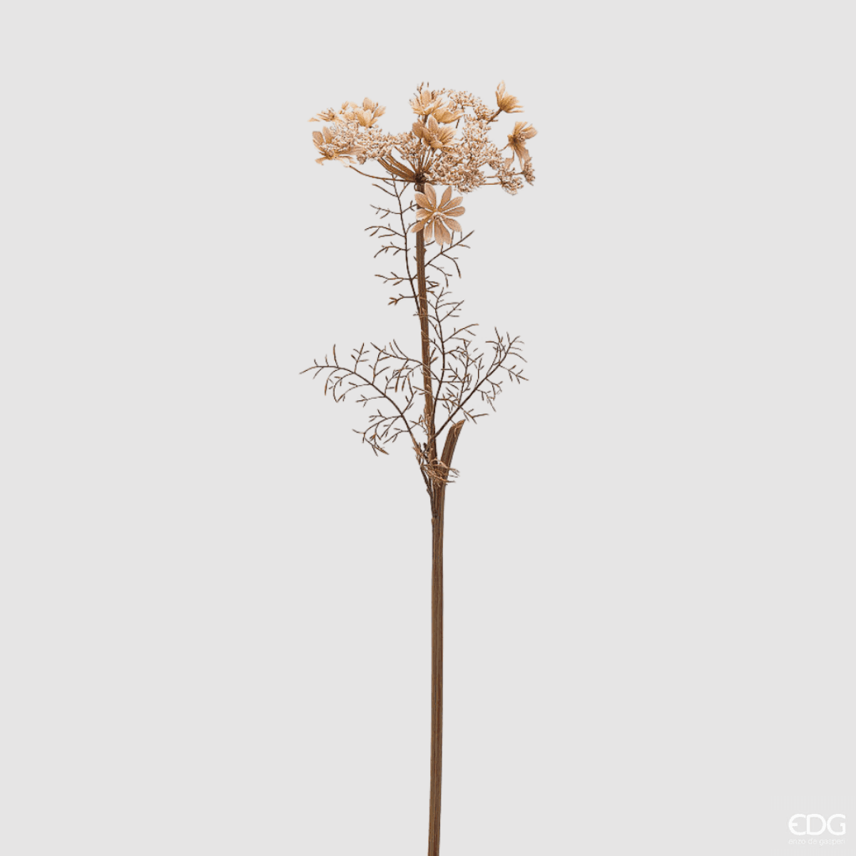 Immagine del prodotto Ramo Daucus Carota 82 cm - 2 Colori | EDG Enzo De Gasperi