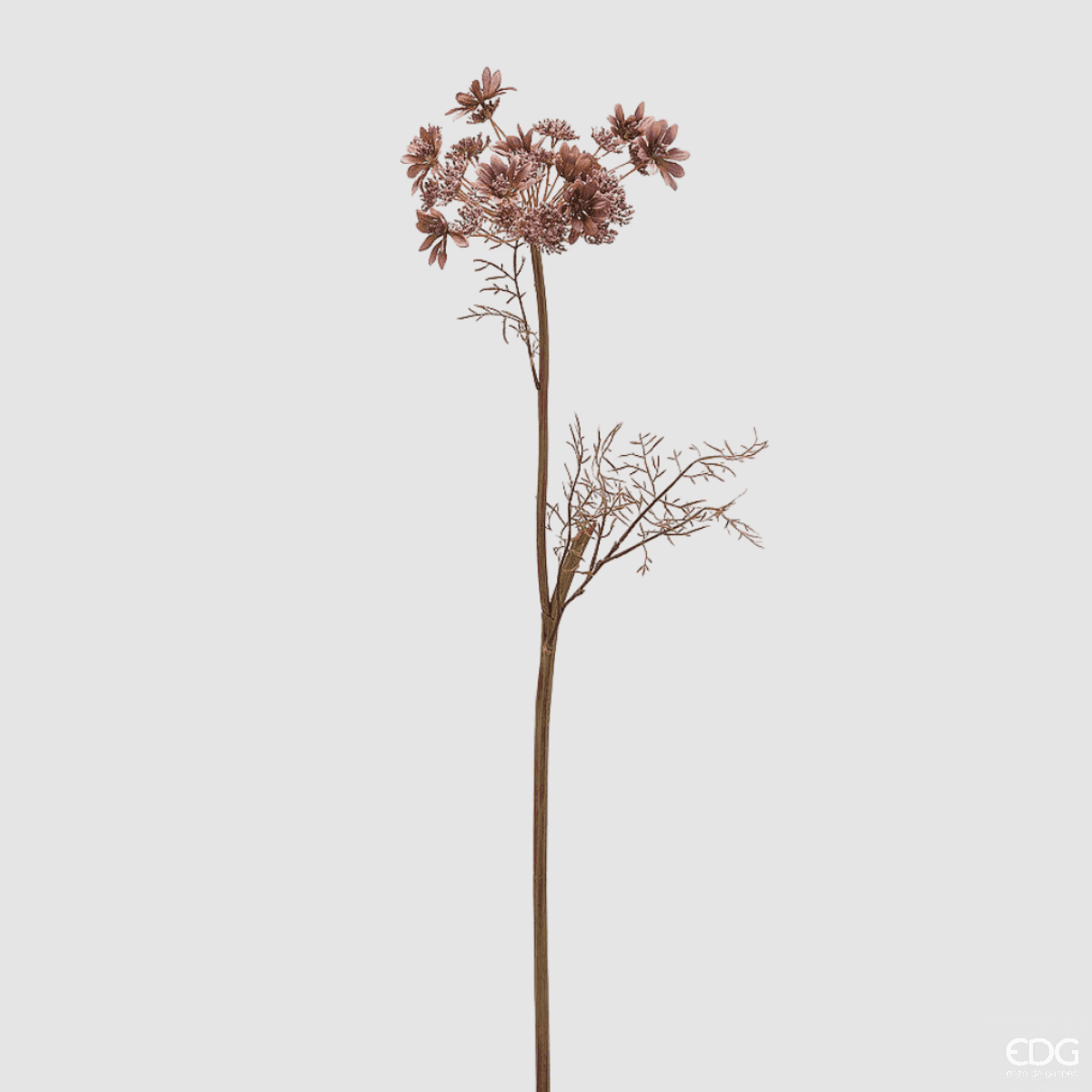 Immagine del prodotto Ramo Daucus Carota 82 cm - 2 Colori | EDG Enzo De Gasperi