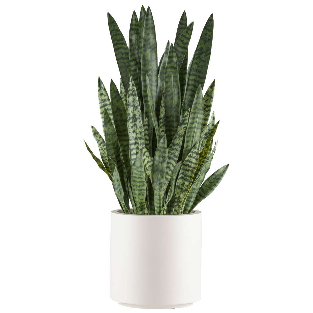 Immagine del prodotto Sanseveria Zeylanica Artificiale con Vaso H 108 cm | Gasper since 1965