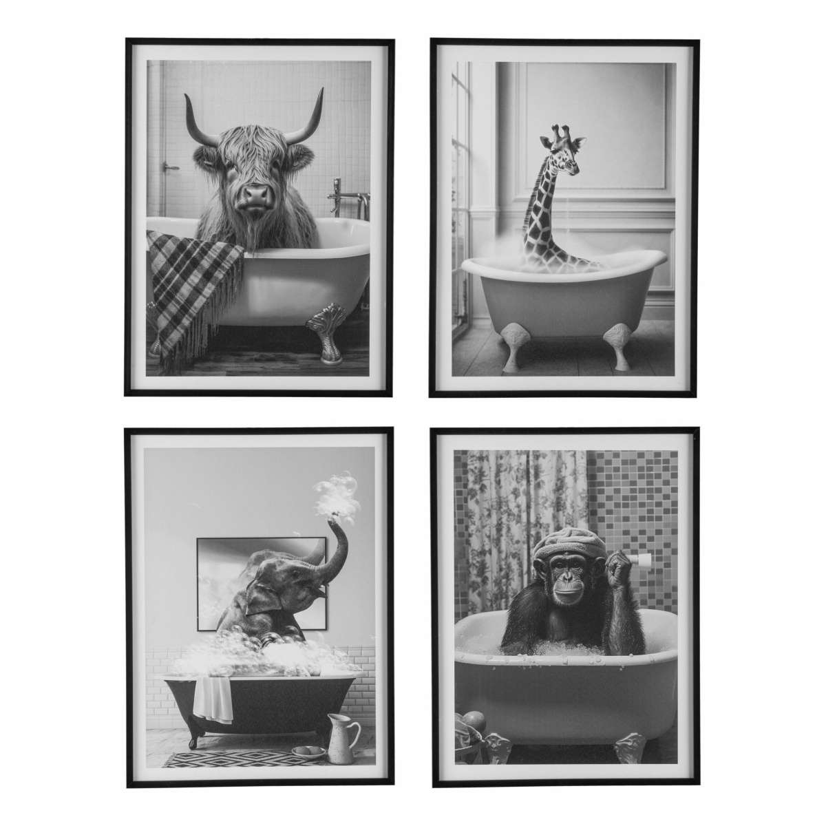 Immagine del prodotto Quadro Animal Freaky con Cornice 45x60x2,2 cm - 4 Varianti | Gasper since 1965