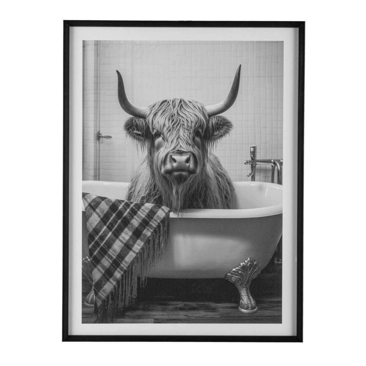 Immagine del prodotto Quadro Animal Freaky con Cornice 45x60x2,2 cm - 4 Varianti | Gasper since 1965