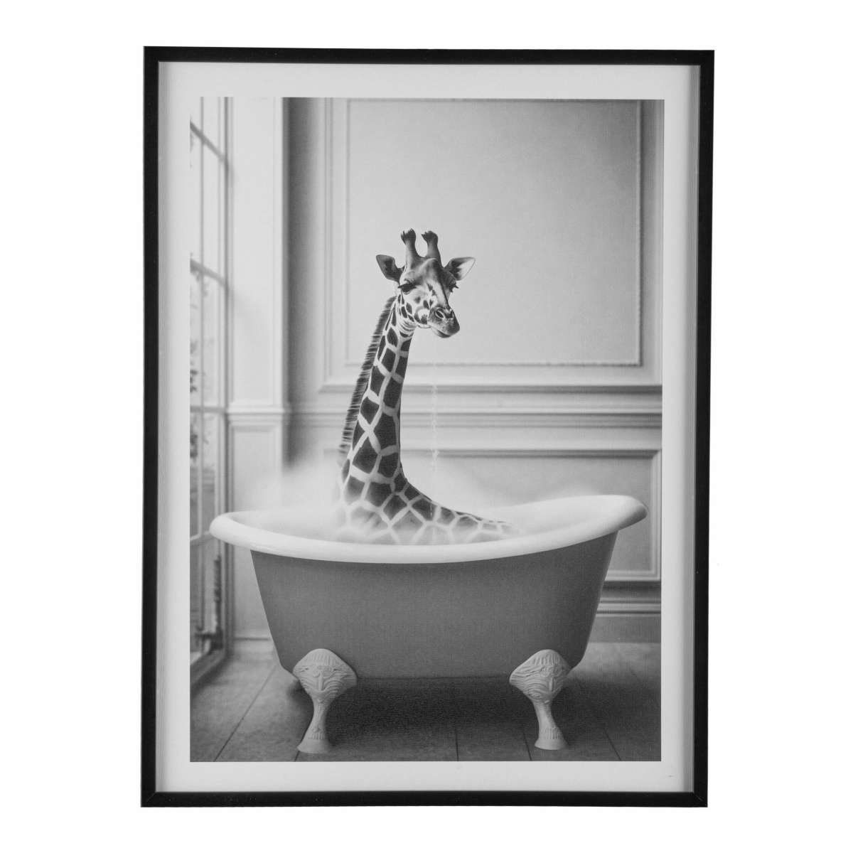 Immagine del prodotto Quadro Animal Freaky con Cornice 45x60x2,2 cm - 4 Varianti | Gasper since 1965