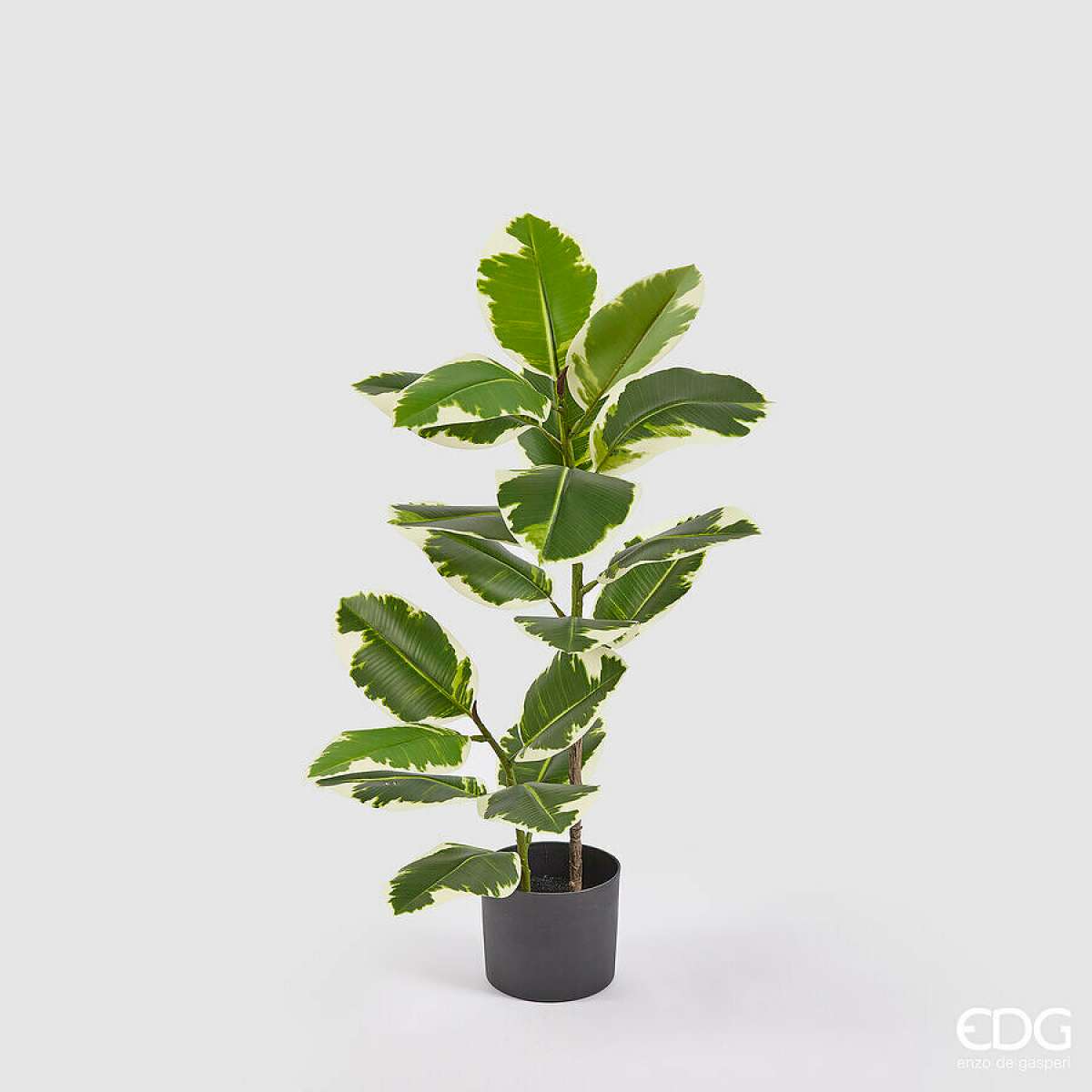 Immagine del prodotto Ficus Elastica Artificiale con Vaso - 2 Misure | EDG Enzo De Gasperi