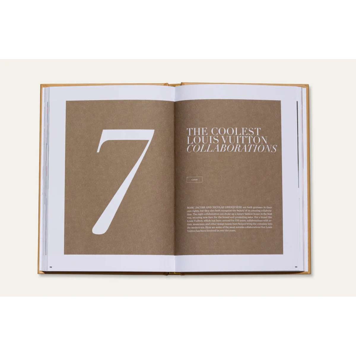 Immagine del prodotto THE ESSENCE OF LOUIS VUITTON - Libro Decorativo | New Mags