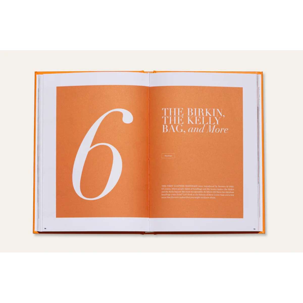 Immagine del prodotto THE ESSENCE OF HERMES - Libro Decorativo | New Mags