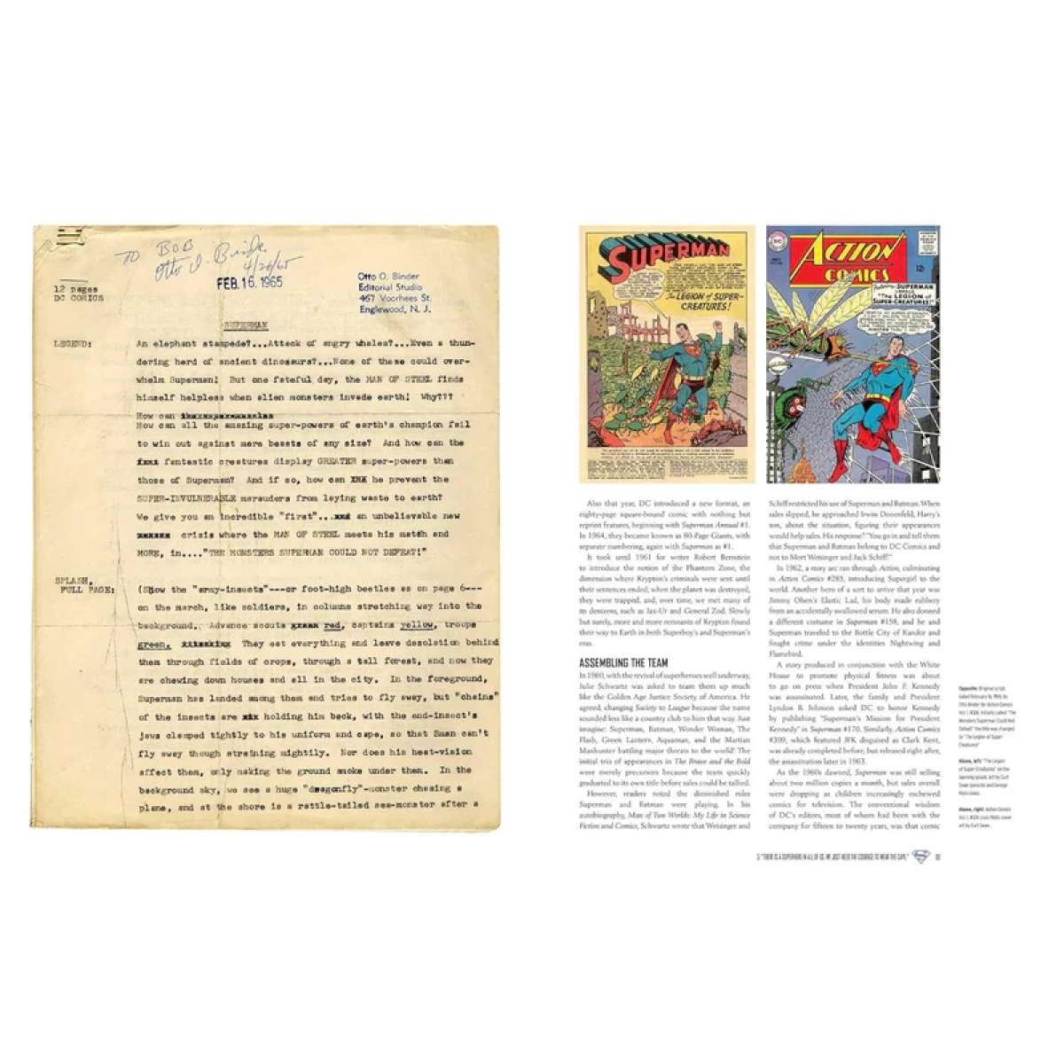Immagine del prodotto SUPERMAN - THE DEFINITIVE HISTORY  - Libro Decorativo | New Mags
