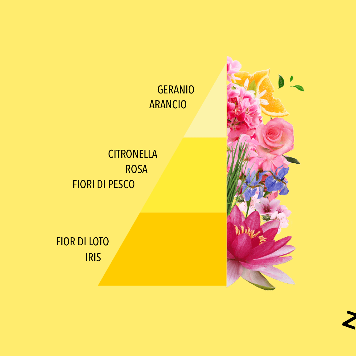 Immagine del prodotto Profumatore per Bucato CITRONELLA E GERANIO 250 ml | Horomia