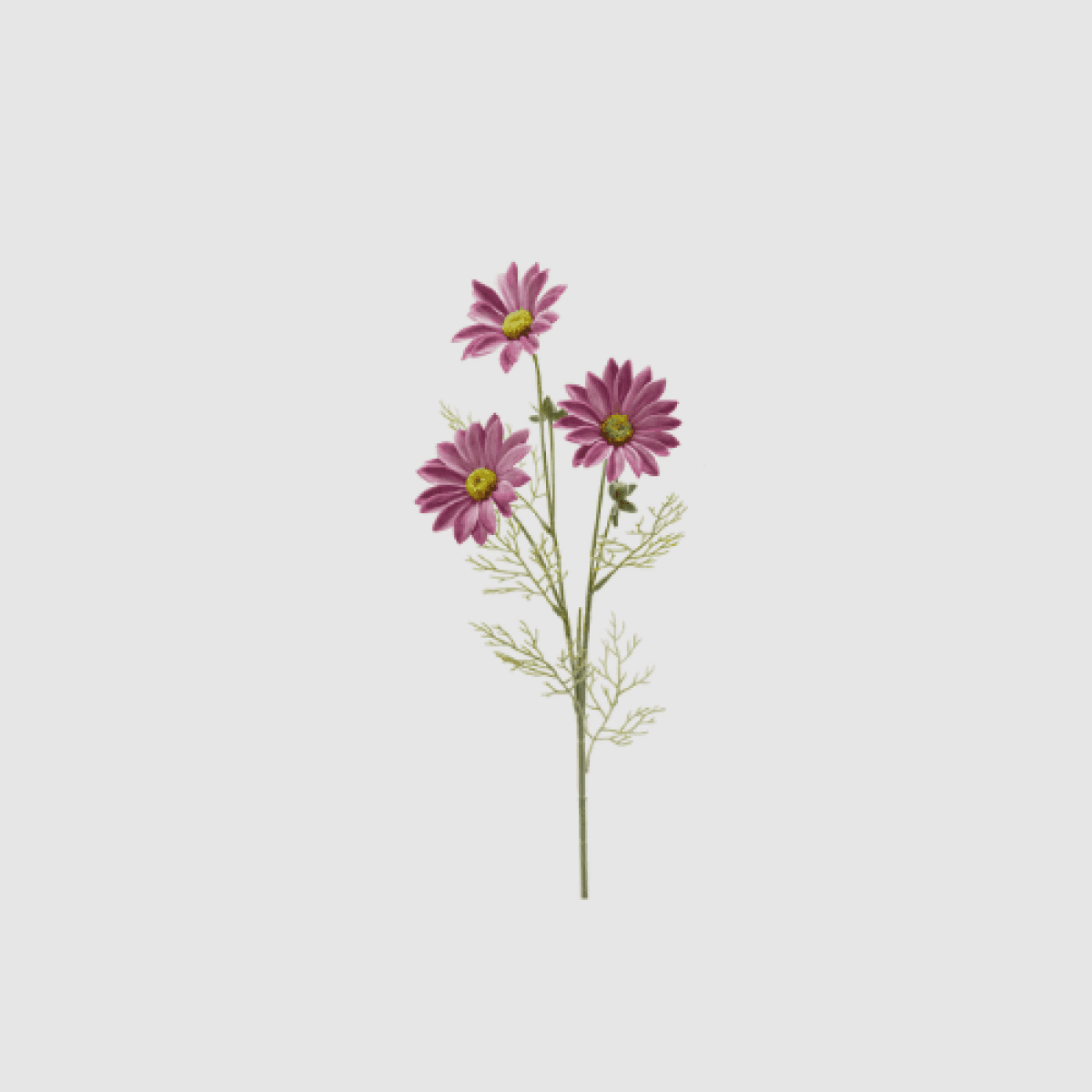 Immagine del prodotto Ramo Margherita Artificiale h 65 cm - 4 Colori | EDG Enzo De Gasperi