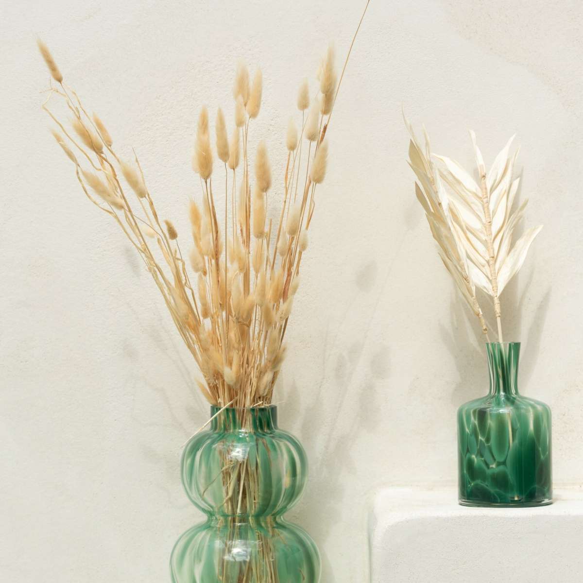 Immagine del prodotto Mazzo Coda di Lepre Secche 10x4x75cm | Jolipa
