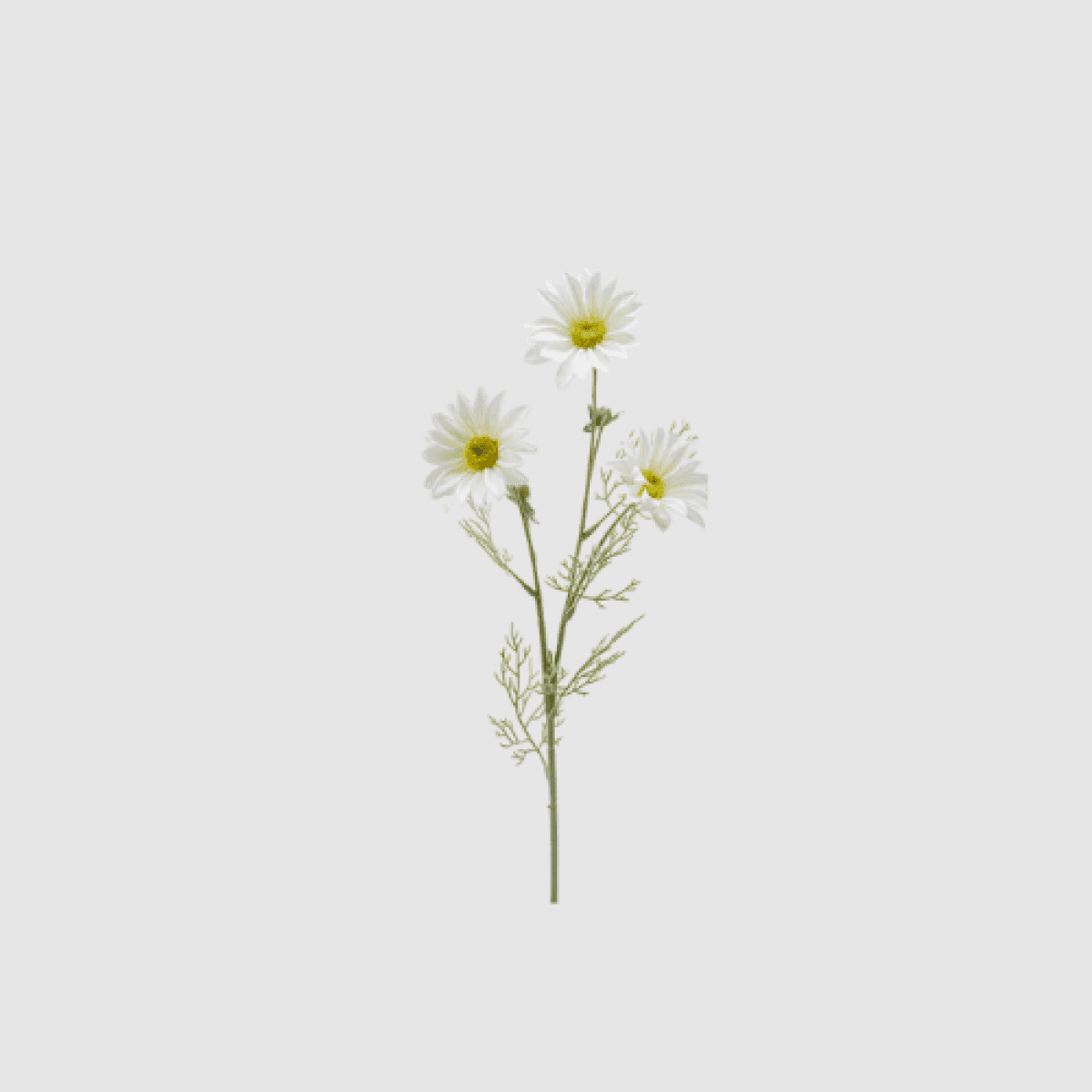 Immagine del prodotto Ramo Margherita Artificiale h 65 cm - 4 Colori | EDG Enzo De Gasperi