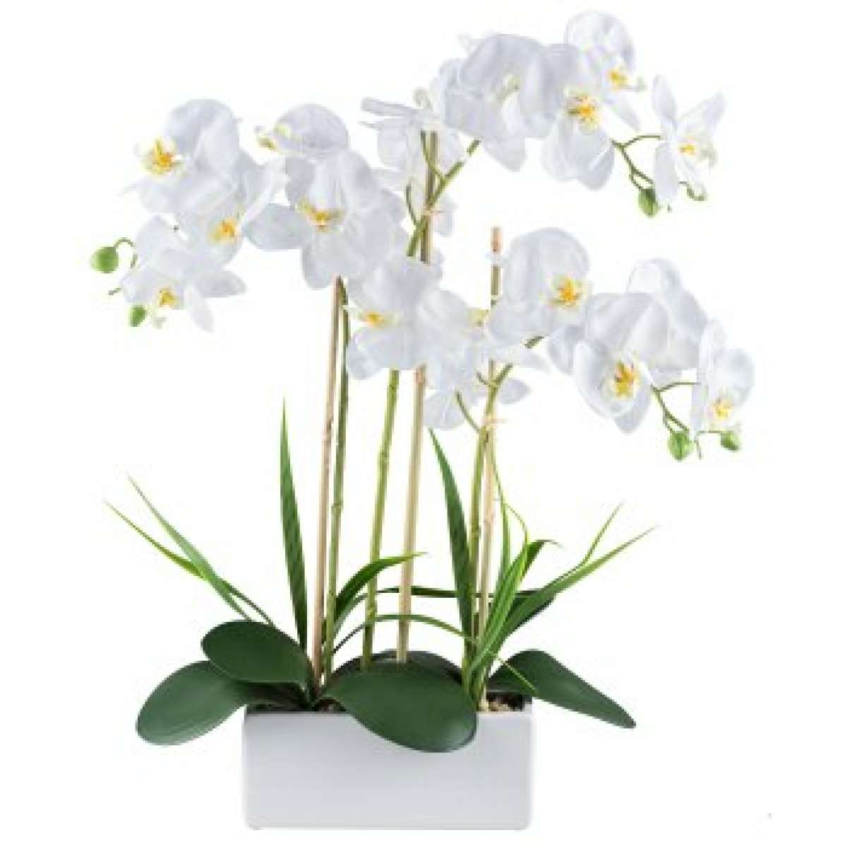 Immagine del prodotto Orchidea Phalaenopsis Bianca 58cm Real Touch, in Vaso Rettangolare di Ceramica B | Gasper since 1965