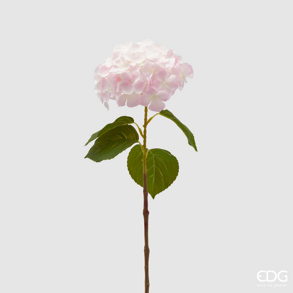 Immagine del prodotto Ortensia Artificiale Nobile New h 70 cm - 4 Colori | EDG Enzo De Gasperi