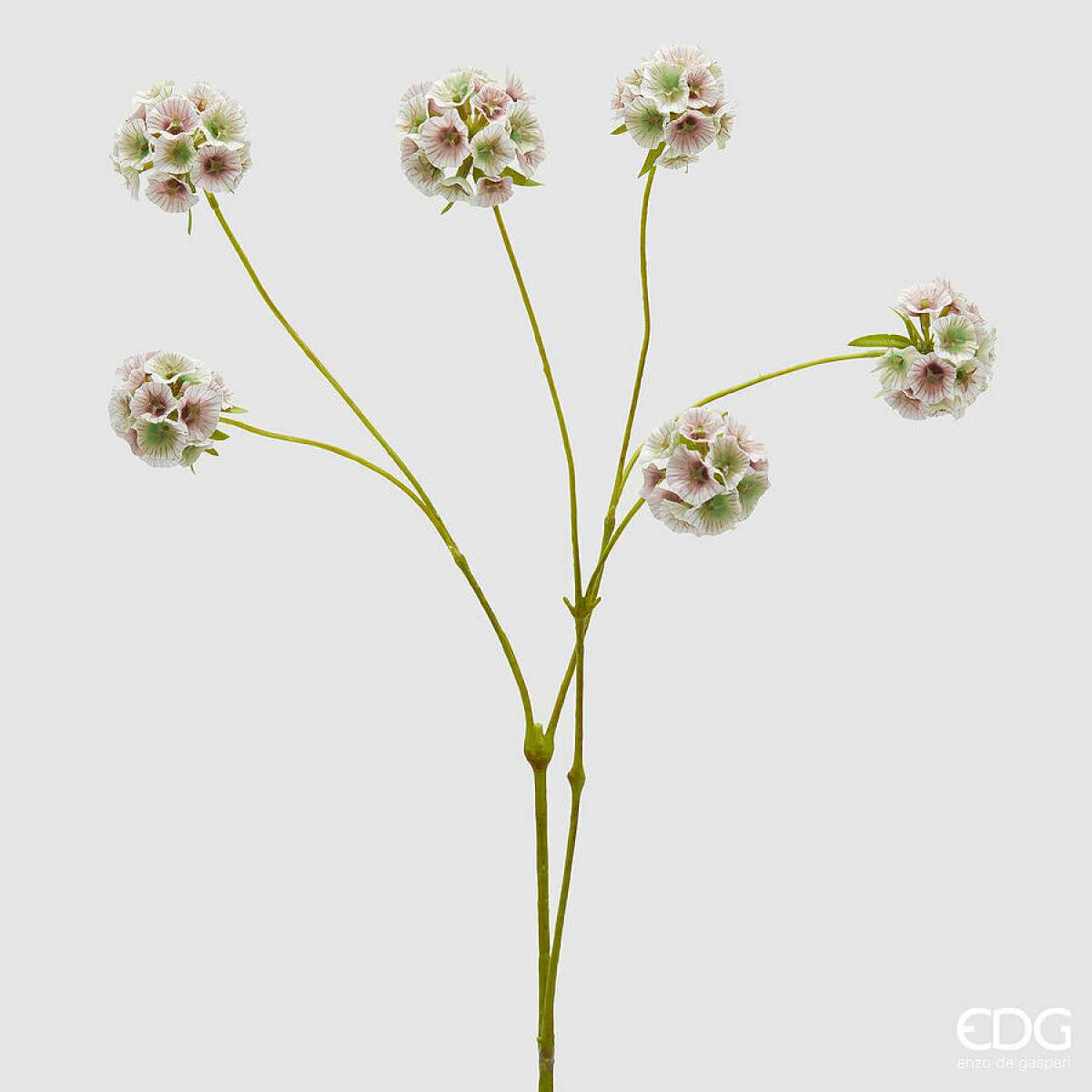 Immagine del prodotto Scabiosa Ramo Artificiale  x6 h 66 cm - 2 Colori | EDG Enzo De Gasperi