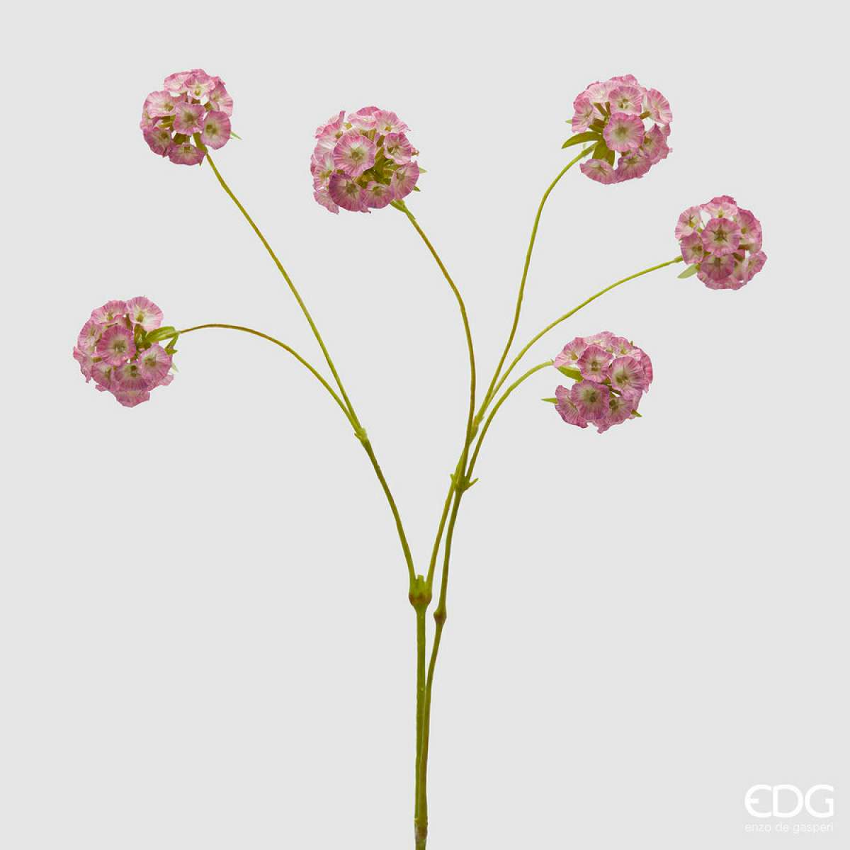Immagine del prodotto Scabiosa Ramo Artificiale  x6 h 66 cm - 2 Colori | EDG Enzo De Gasperi