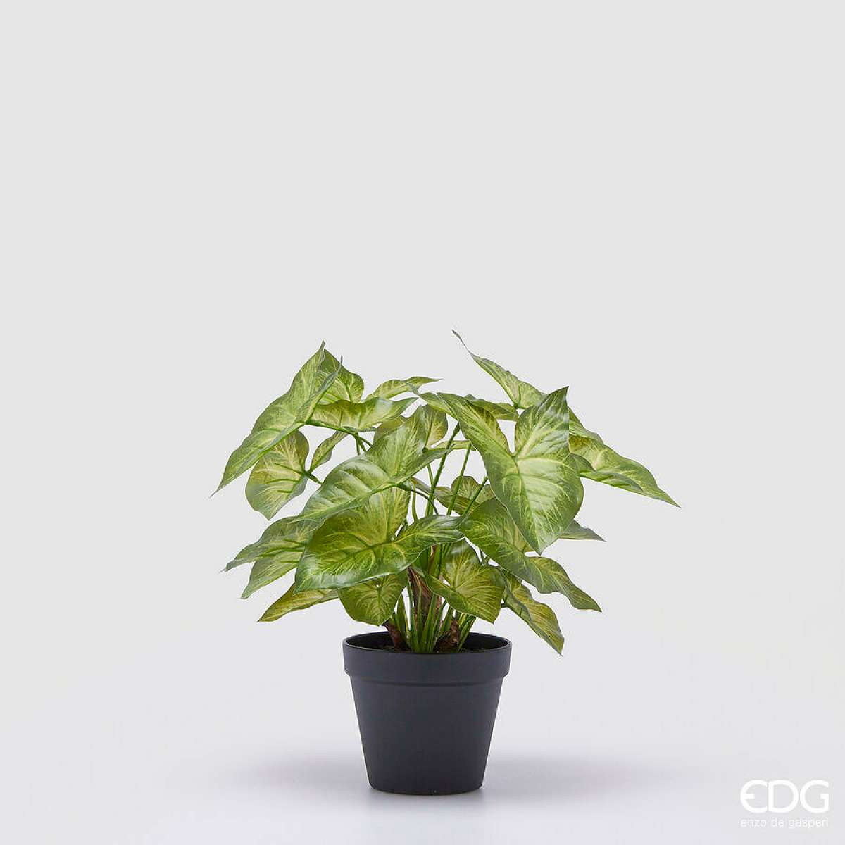 Immagine variante S - Syngonium Artificiale con Vaso - 2 Misure | EDG Enzo De Gasperi