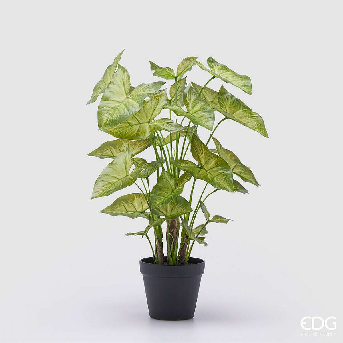 Immagine variante M - Syngonium Artificiale con Vaso - 2 Misure | EDG Enzo De Gasperi