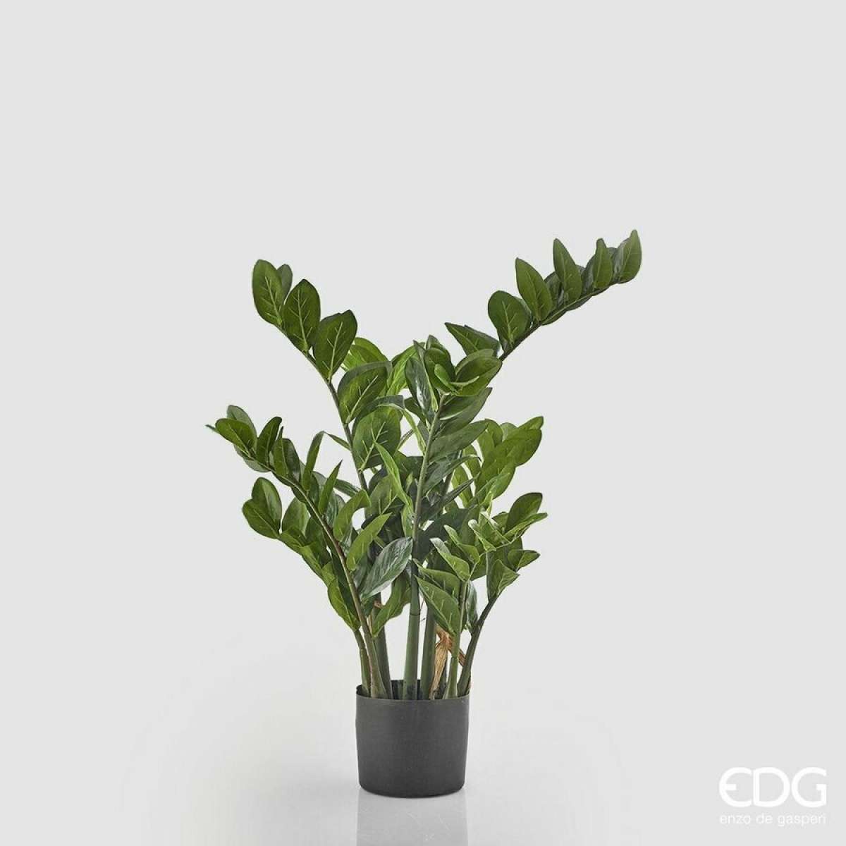 Immagine variante M - Zamifolia Artificiale con Vaso - 3 Misure | EDG Enzo De Gasperi