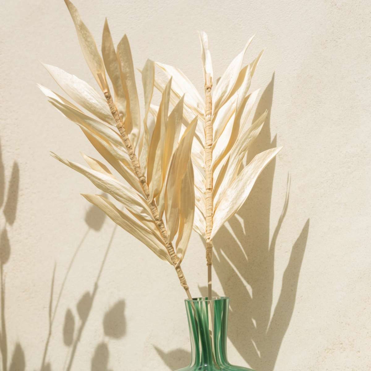 Immagine del prodotto Set 2 Foglie Secche Naturali 11,5x2,5x41 cm | Jolipa