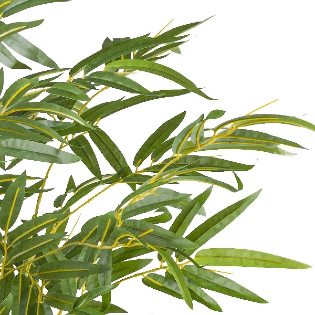Immagine del prodotto Bamboo 180cm con Vaso in Plastica 18x15cm | Gasper since 1965