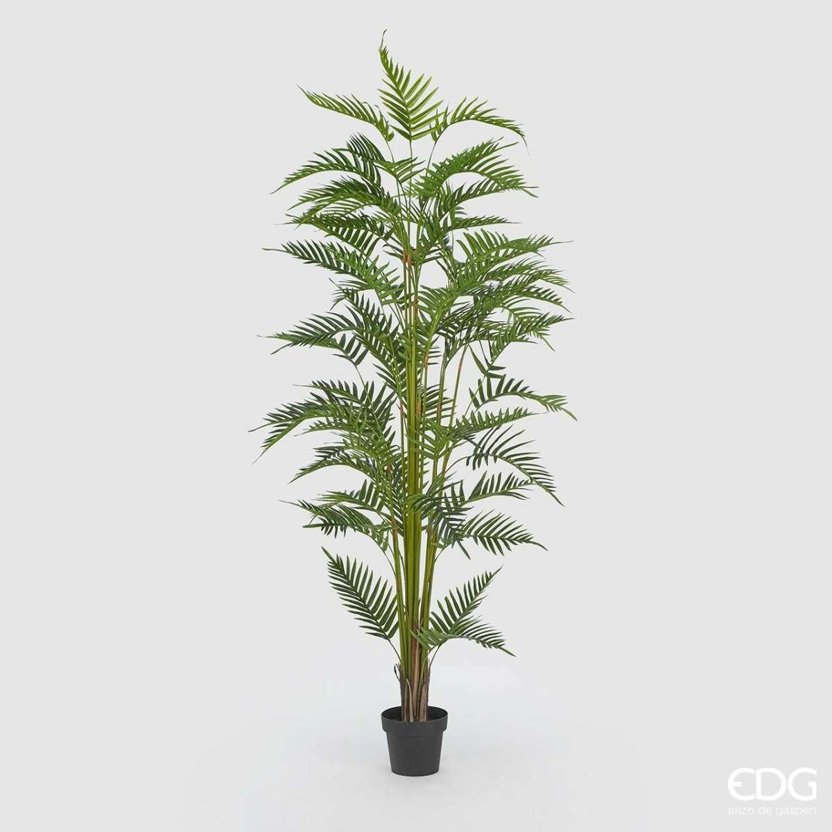 Immagine del prodotto Palma Areca Artificiale con Vaso - 3 Misure | EDG Enzo De Gasperi