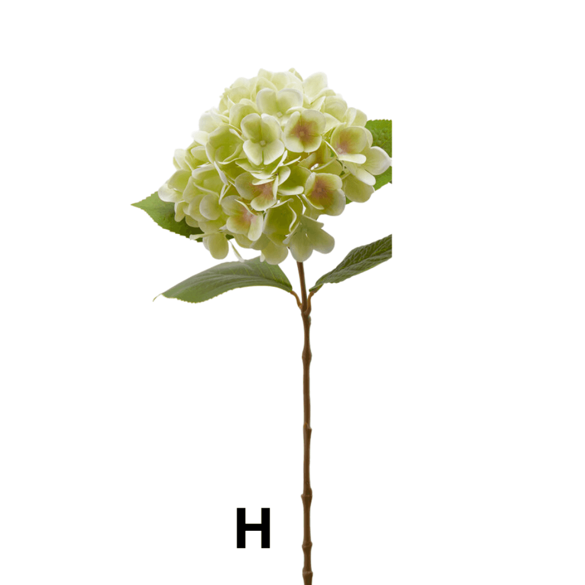 Immagine variante H - Ortensia Artificiale Nobile h 60 cm - 10 Colori | EDG Enzo De Gasperi