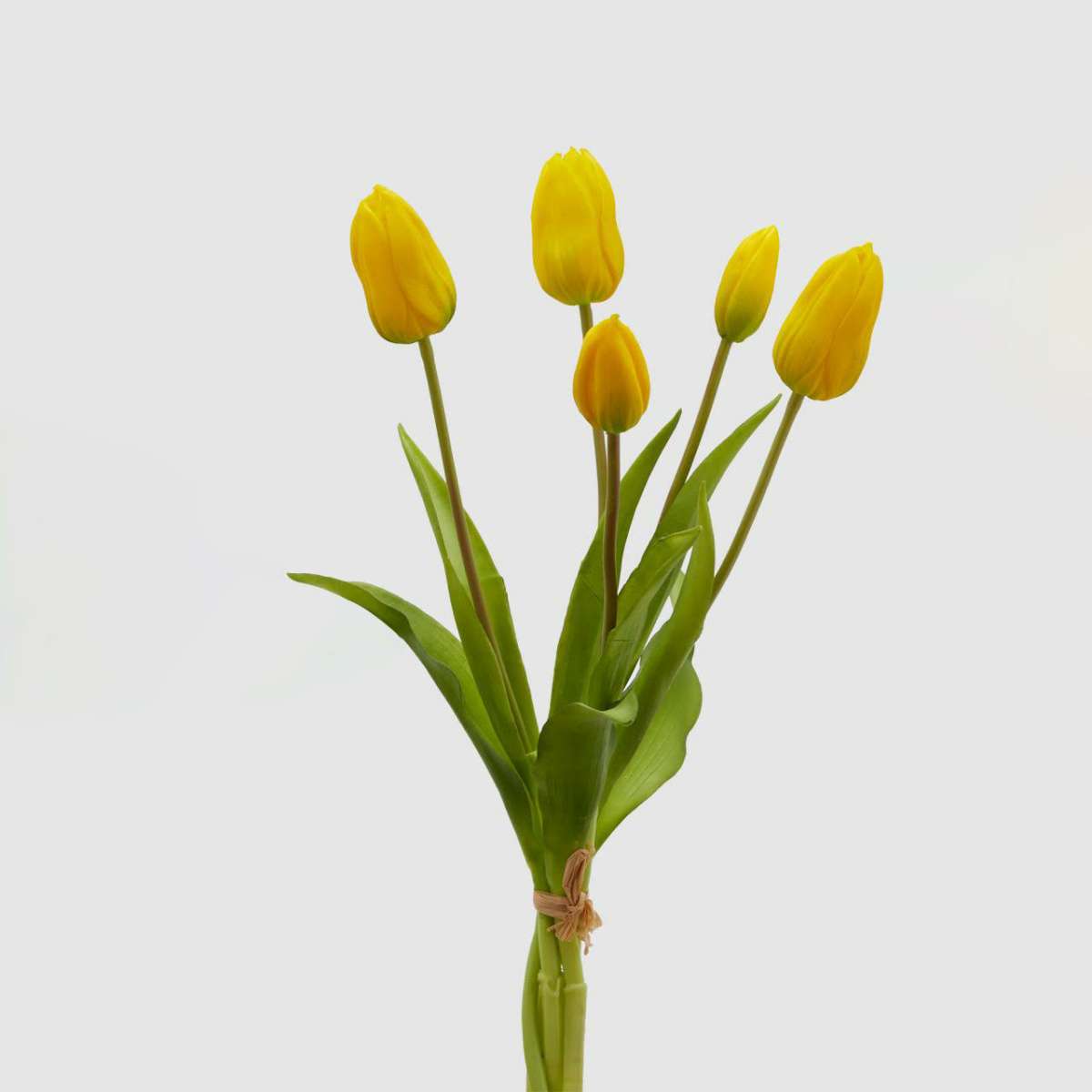 Immagine del prodotto Mazzo Artificiale di Tulipani New h 40 cm  7 Colori | EDG Enzo De Gasperi